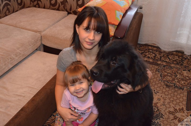 Фотография № 145087