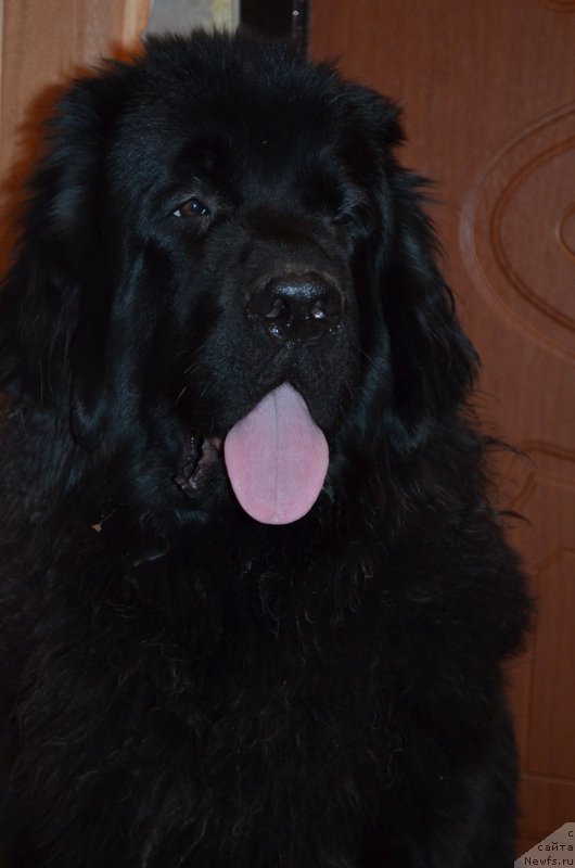 Фотография № 145088