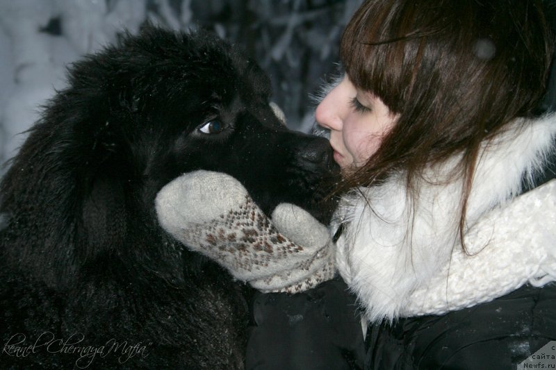 Фотография № 145091