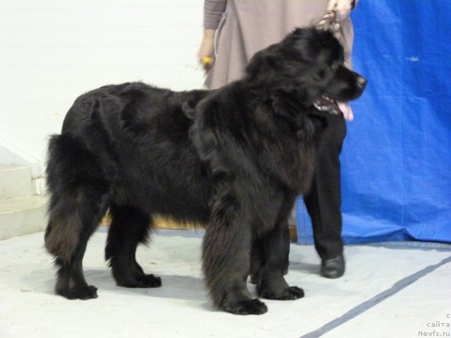 Фотография № 145144