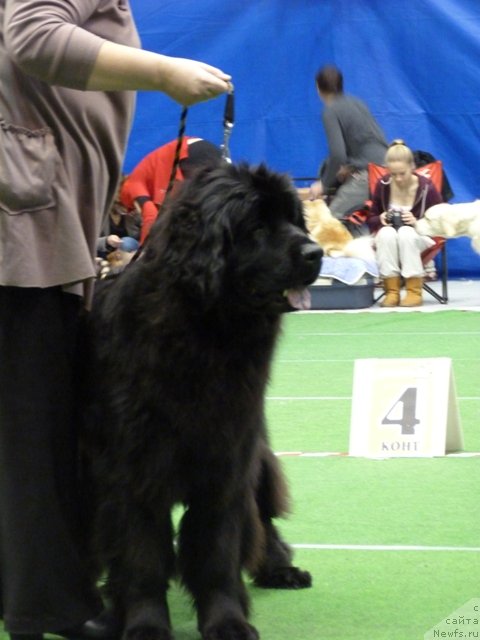 Фотография № 145145