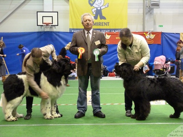 Фотография № 145151