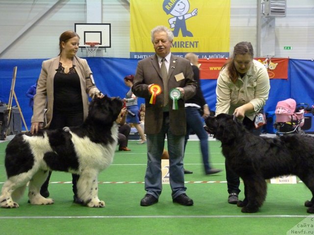 Фотография № 145152