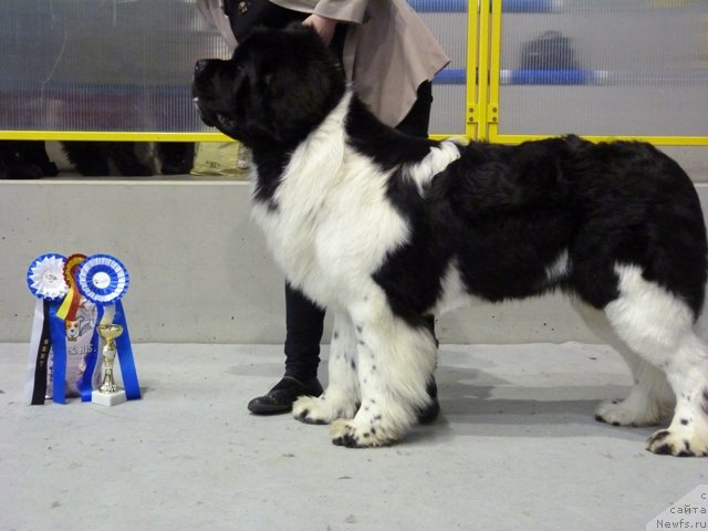 Фотография № 145156