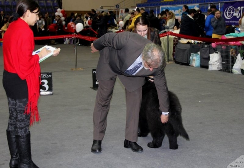 Фотография № 145162