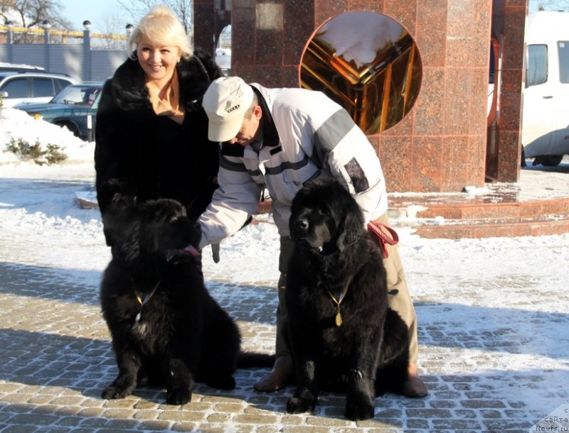 Фотография № 145178