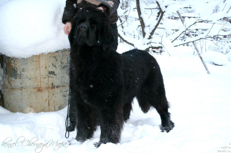 Фотография № 145199