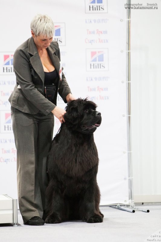 Фотография № 145282