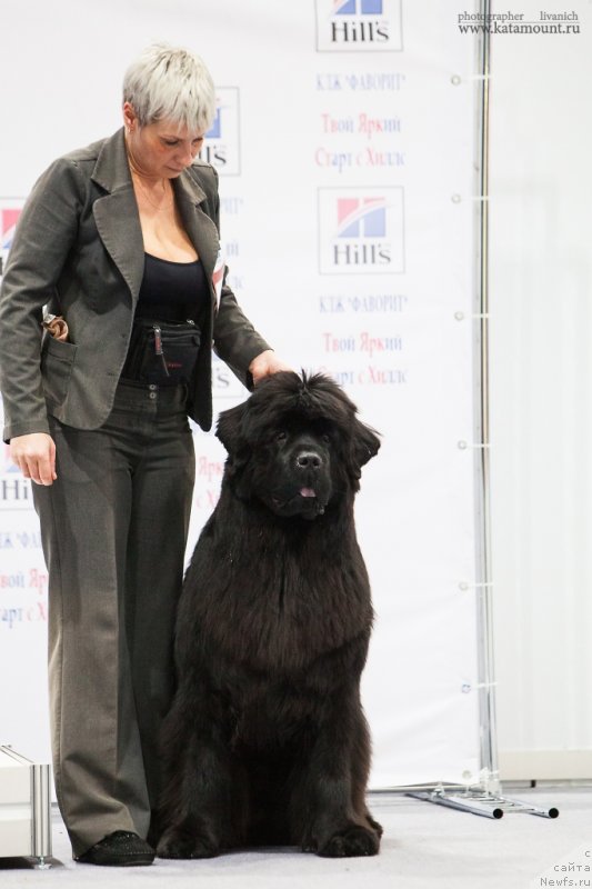 Фотография № 145283