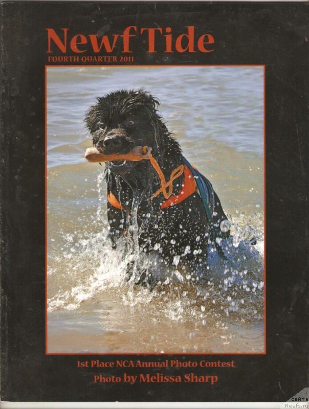 Фотография № 145304