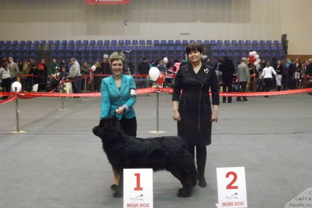 Фотография № 145329