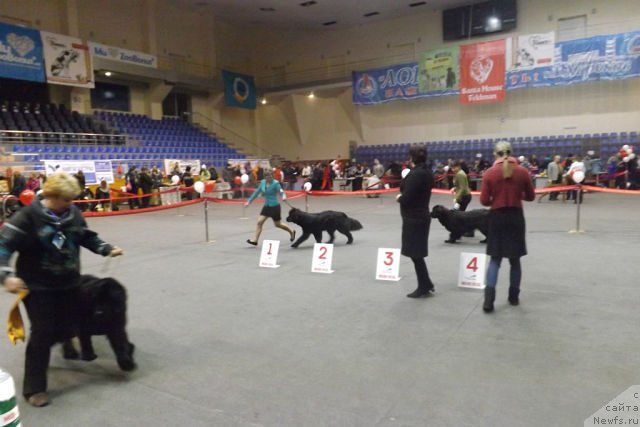 Фотография № 145330