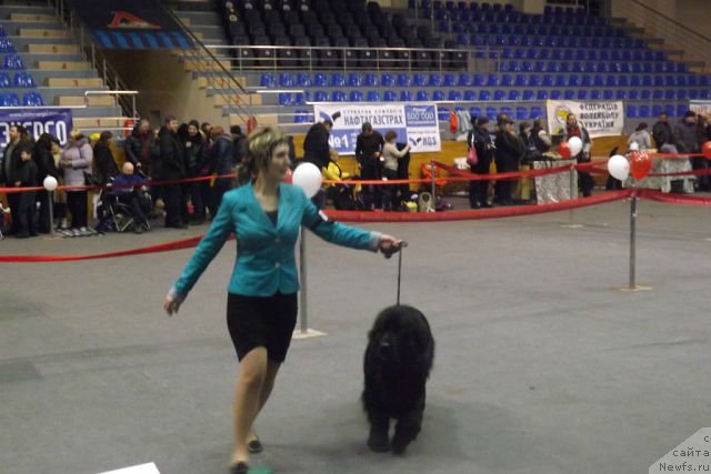 Фотография № 145337