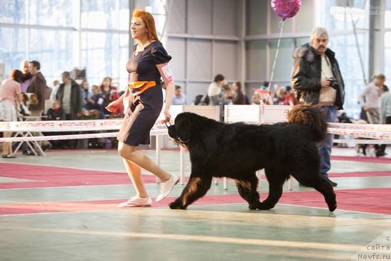 Фотография № 145355