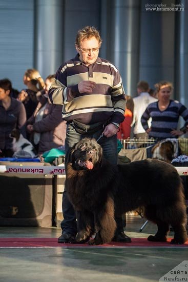 Фотография № 145358