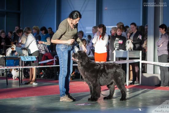 Фото: BLACK CLOUDS P-I WANT STAY WITH YOU