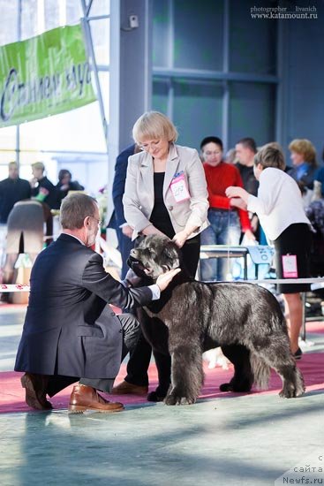 Фотография № 145364