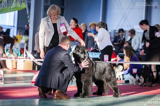 Фотография № 145365