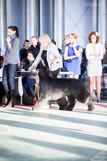 Фотография № 145368