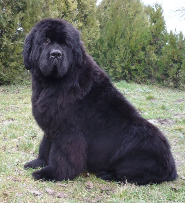 Фотография № 145476