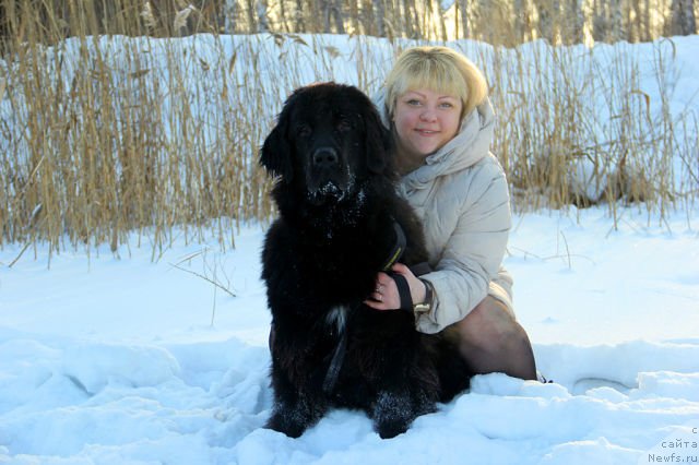 Фото: ньюфаундленд Intriga Nochi ot Marleon Dusvik (Интрига Ночи от Марлеон Дусвик), Oksana Konopel'ceva (Оксана Конопельцева)