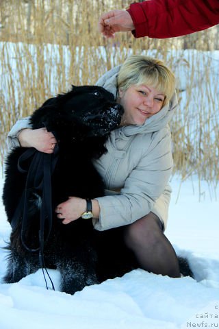 Фото: ньюфаундленд Intriga Nochi ot Marleon Dusvik (Интрига Ночи от Марлеон Дусвик), Oksana Konopel'ceva (Оксана Конопельцева)