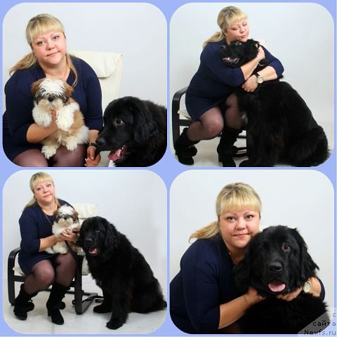 Фото: ньюфаундленд Intriga Nochi ot Marleon Dusvik (Интрига Ночи от Марлеон Дусвик), Oksana Konopel'ceva (Оксана Конопельцева)