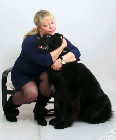 Фото: ньюфаундленд Intriga Nochi ot Marleon Dusvik (Интрига Ночи от Марлеон Дусвик), Oksana Konopel'ceva (Оксана Конопельцева)