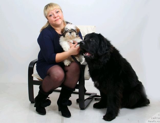 Фото: ньюфаундленд Intriga Nochi ot Marleon Dusvik (Интрига Ночи от Марлеон Дусвик), Oksana Konopel'ceva (Оксана Конопельцева)