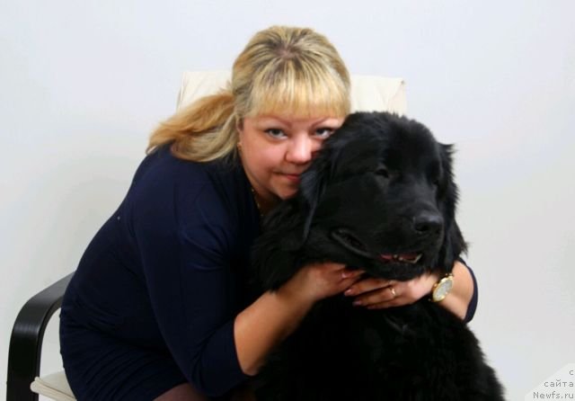 Фото: ньюфаундленд Intriga Nochi ot Marleon Dusvik (Интрига Ночи от Марлеон Дусвик), Oksana Konopel'ceva (Оксана Конопельцева)