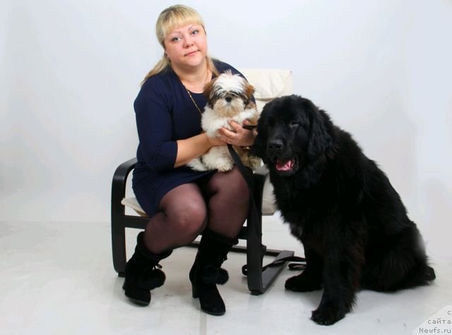 Фото: ньюфаундленд Intriga Nochi ot Marleon Dusvik (Интрига Ночи от Марлеон Дусвик), Oksana Konopel'ceva (Оксана Конопельцева)