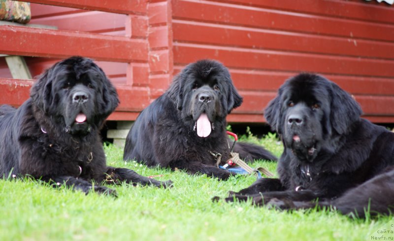 Фотография № 145643