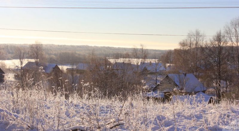Фото: Irina Bubnova (Ирина Бубнова)