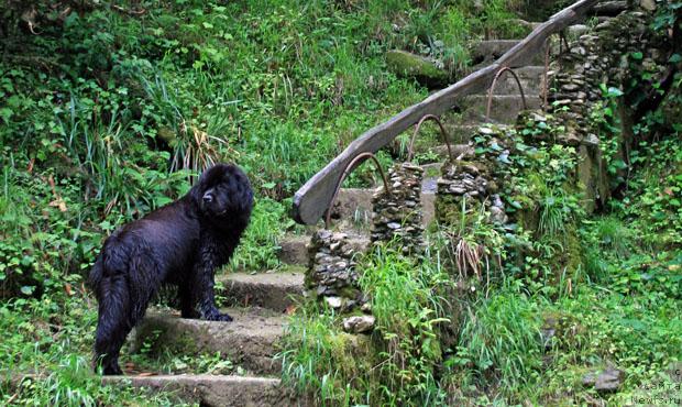 Фотография № 14593