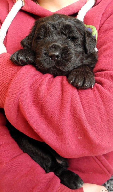 Фотография № 146044