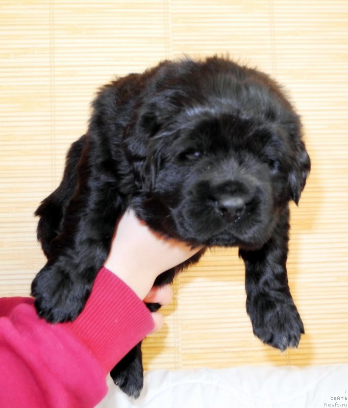 Фотография № 146058