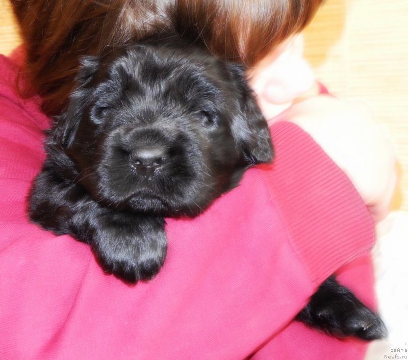 Фотография № 146060