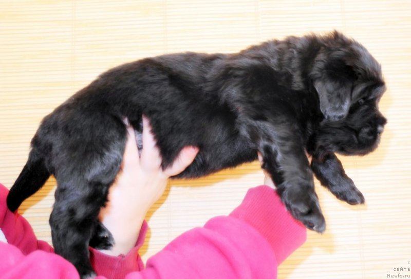 Фотография № 146061