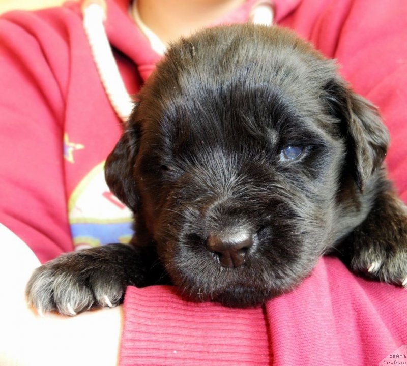 Фотография № 146068