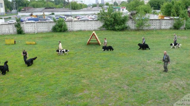 Фотография № 14610