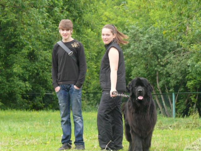 Фотография № 14611