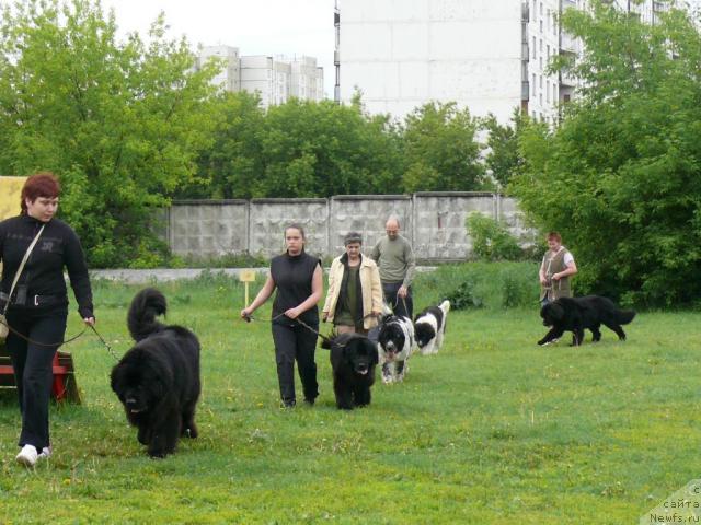 Фотография № 14613