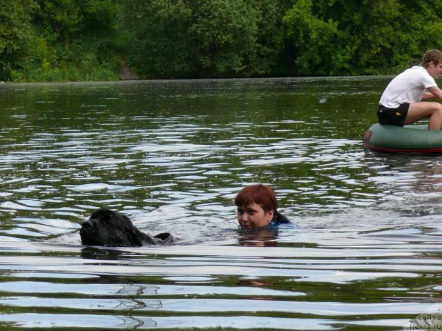 Фотография № 14617