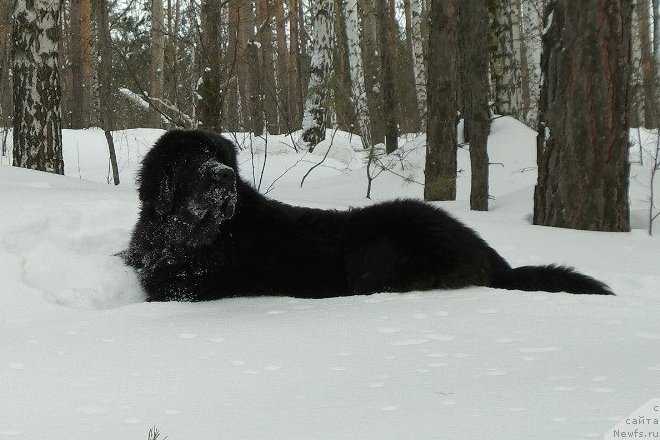 Фотография № 146179