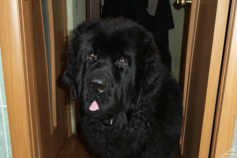 Фотография № 146180