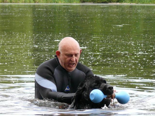 Фотография № 14620