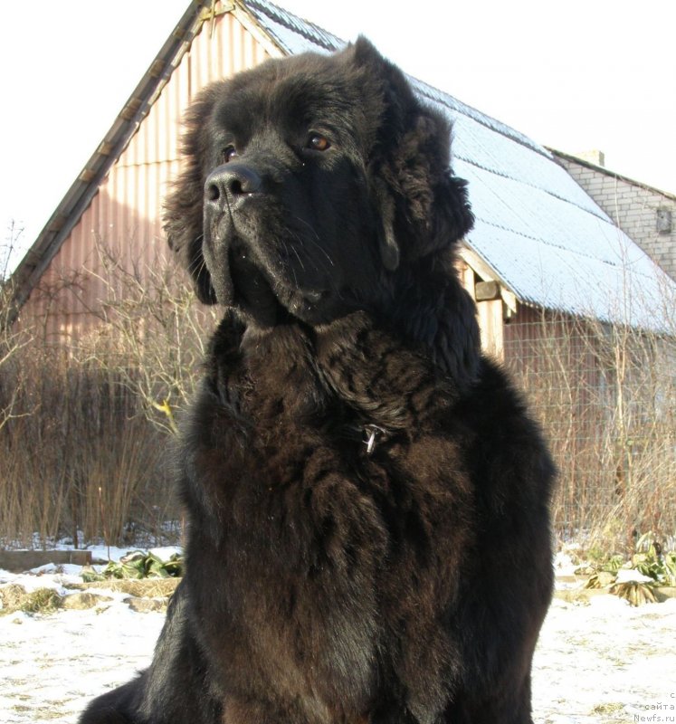 Фотография № 146281