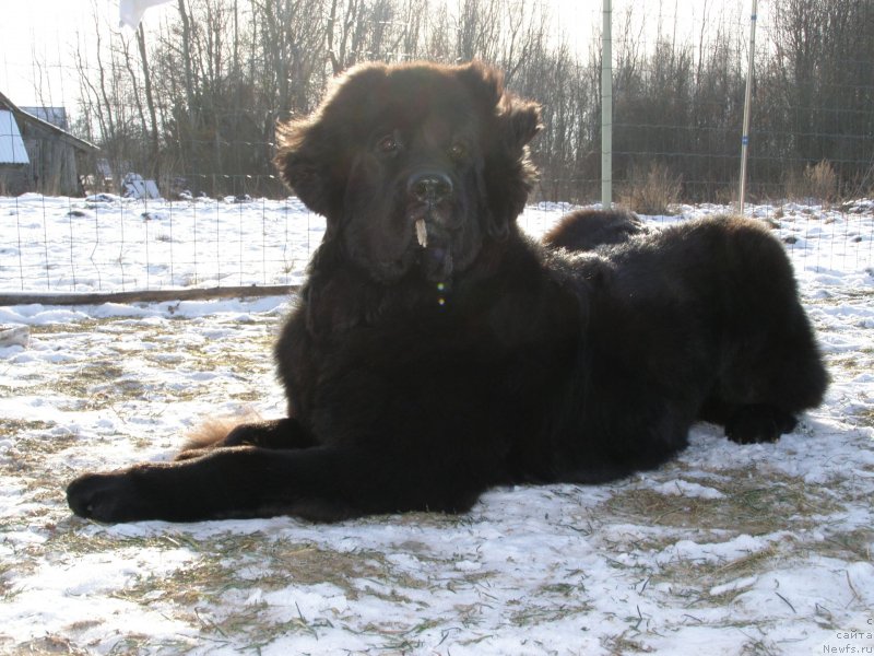 Фотография № 146282