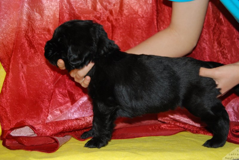 Фотография № 146312