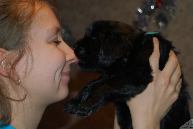 Фотография № 146316